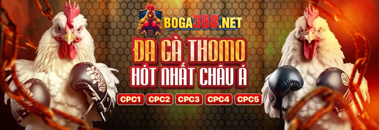 Đá Gà Trực Tuyến Mostbet với Mostbet Casino Bonus