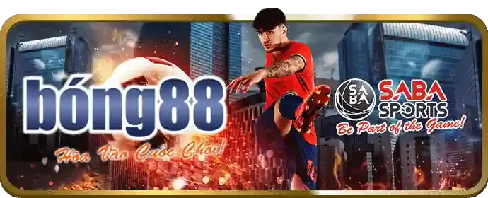 Đáp Ứng Điều Kiện Cược